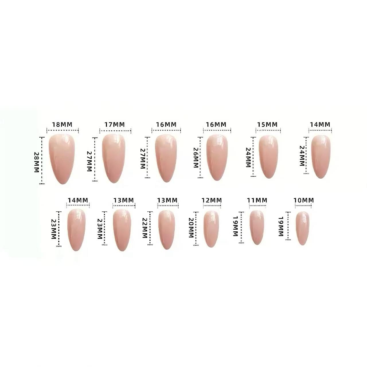 C.Z.Z.T.T.NAILS Fairytale Garden Press-On Nails, 24 Pieces Almond Shaped Artificial Nails with Swan and Floral Art Design, Reusable False Nail Tips in Pastel Colors
