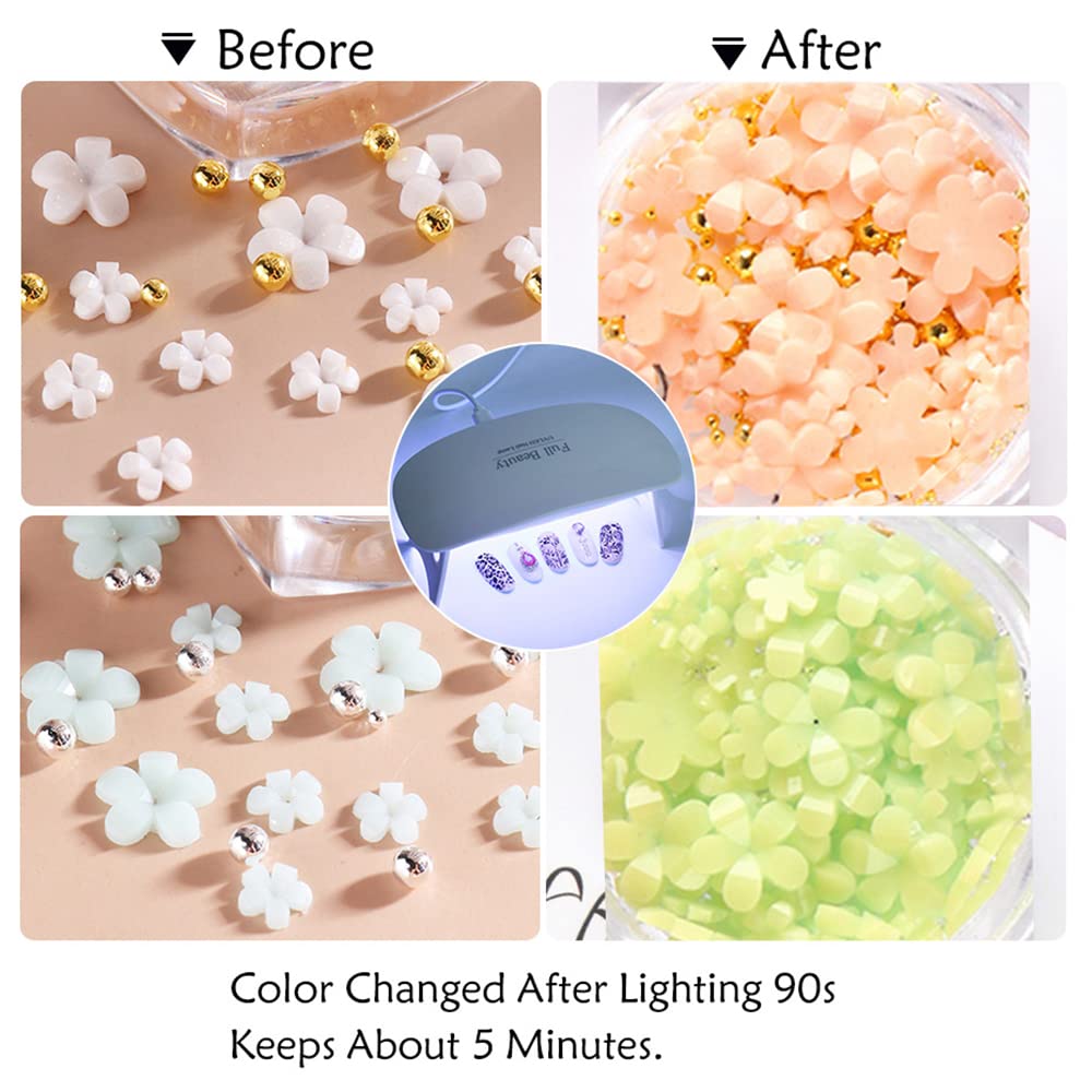 3D Flower Nail Charms, 2 Boxes 3D Acrylic Flower Nail Art Charms and Gems White Pink Mixed Cherry Blossom Spring Rhinestones Acrylic Nail Supplies with Pearls Manicure DIY Nail Decorations