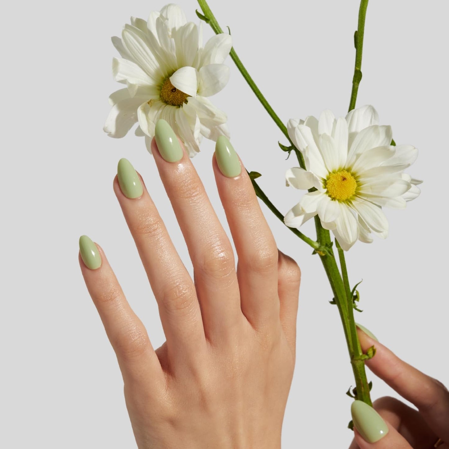 LAMIMOSA 32Pcs Sage Green Press On Nails Short Almond – Soft Gel Solid Color Fake Nails in 16 Sizes, Solid Green Glue on Nail kit, Sping Summer False Nails Stick On Nails, SAGE