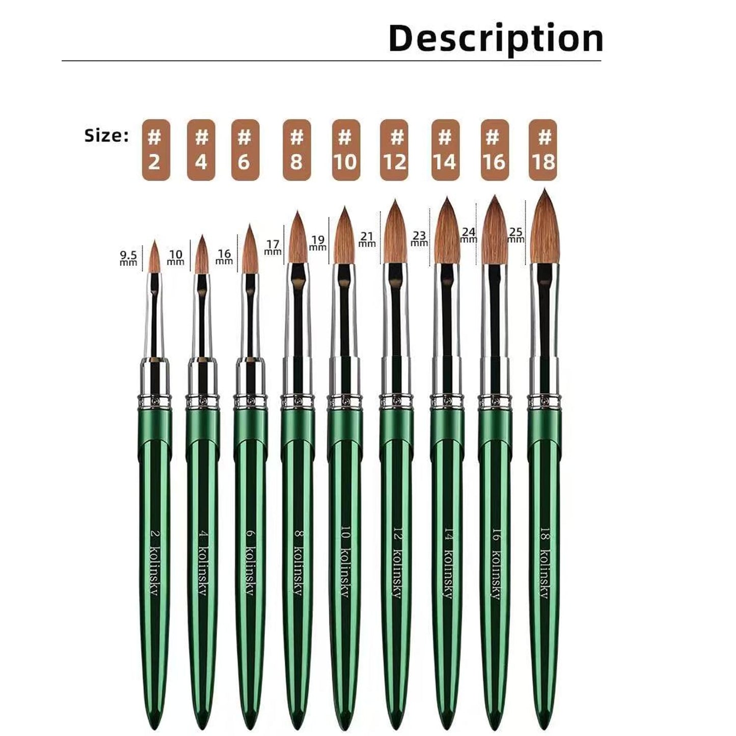 100% Kolinsky Nail Art Brushes Acrylic Nail Brushes Pure Kolinsky Hair Acrylic Crystal Chrome Green Handle with Silver Ferrule Round Shaped for Women Girls Manicure Tools Accessories-Size 10