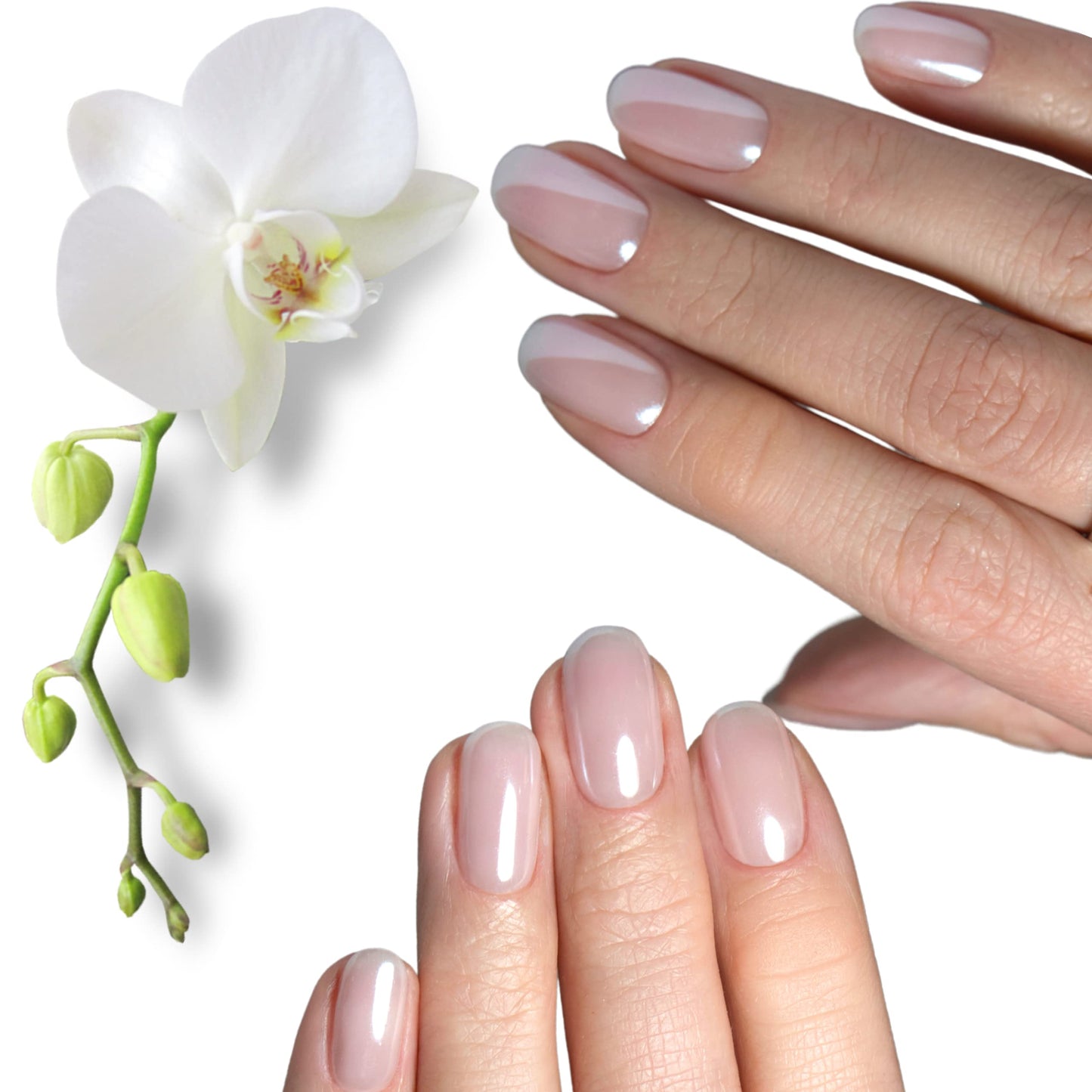 ALICE & BELLA Semi Cured Gel Nail Strips-20 PCS Shimmering Glazed White Semi-Transparent Nail Strengthening Gel Stickers, Use with UV Light Lamp, Salon Quality Manicure Wraps (Glazed Orchid)